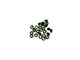 Green Cord Rings on a white background